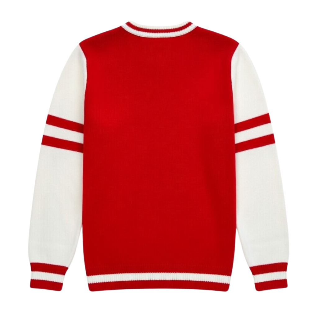 DST V-Neck Sweater